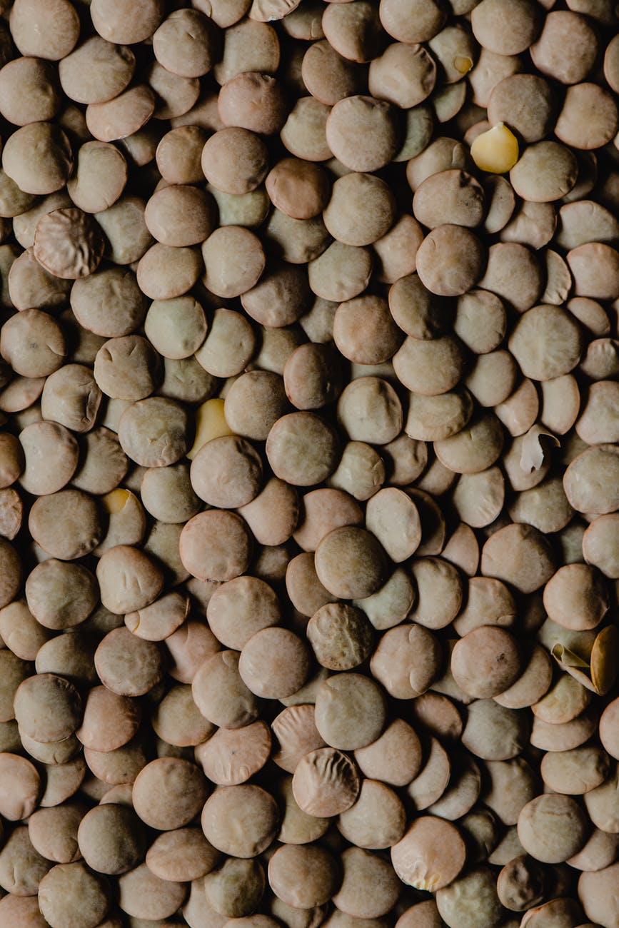 brown and beige round fruits
