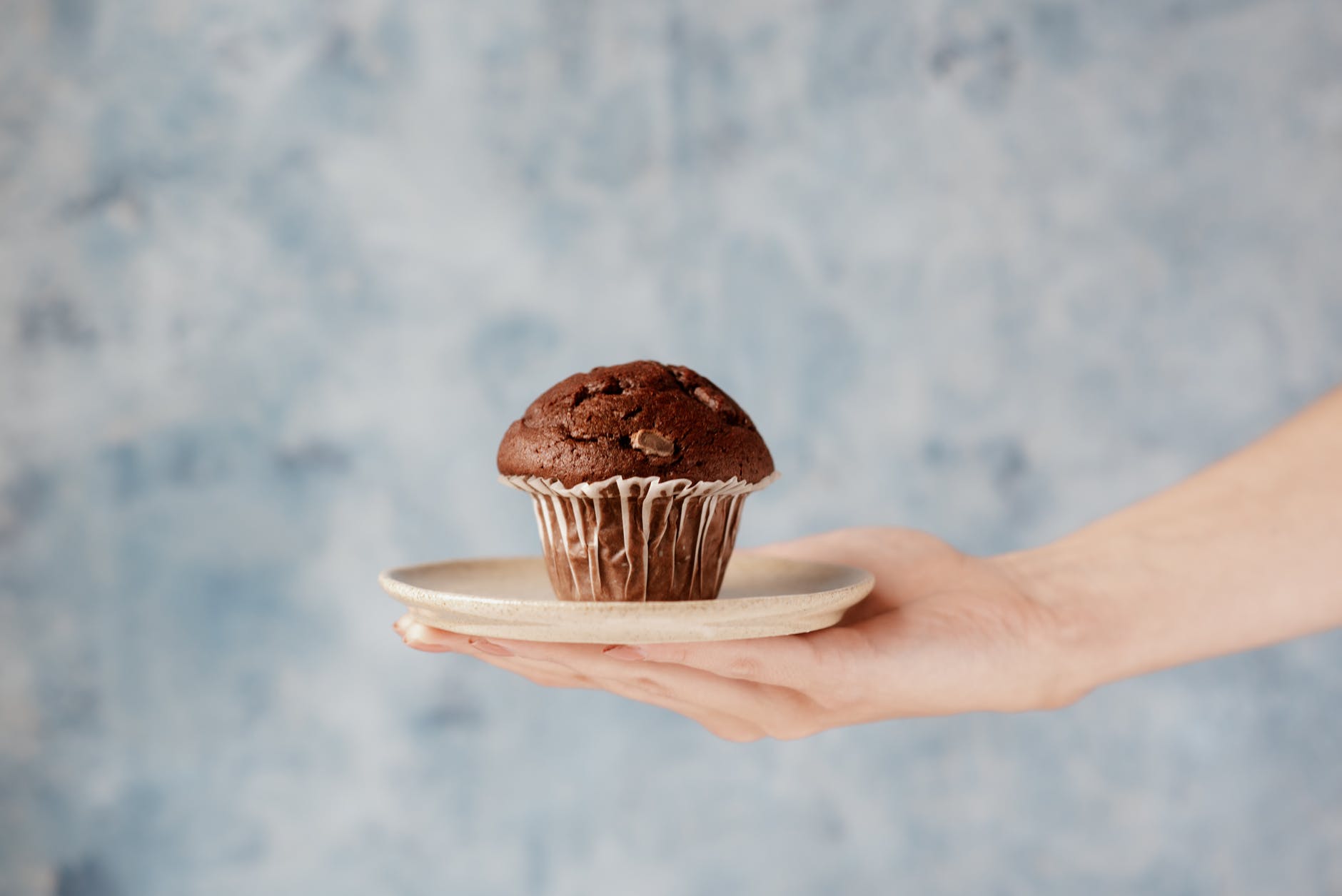 photo of person holding a plate of chcolate muffin
