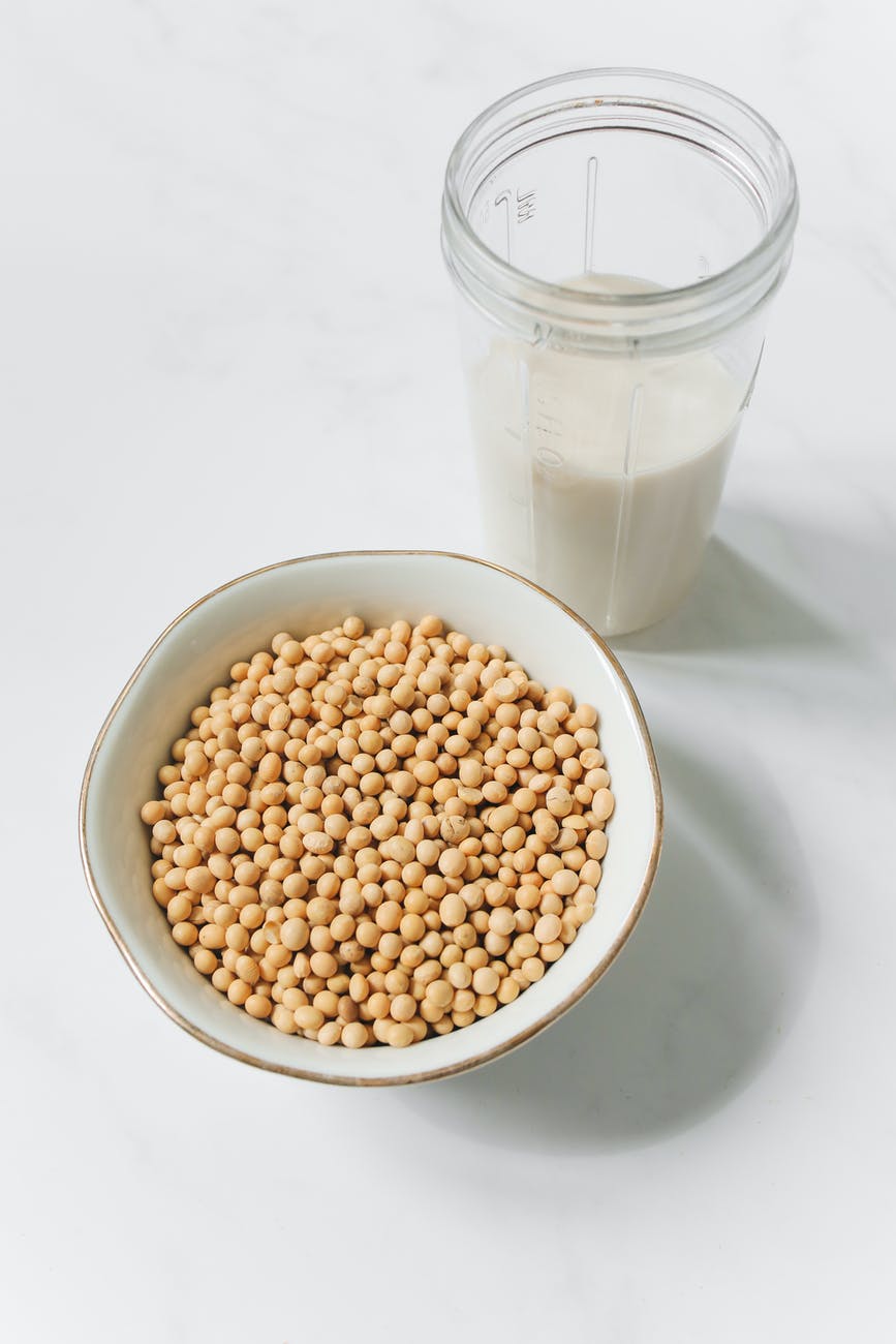 What are vegan sources of protein? soy products