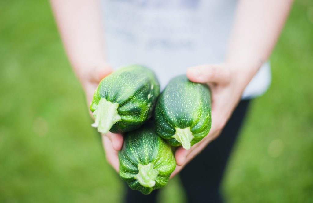 Dairy-free Zucchini Pesto
