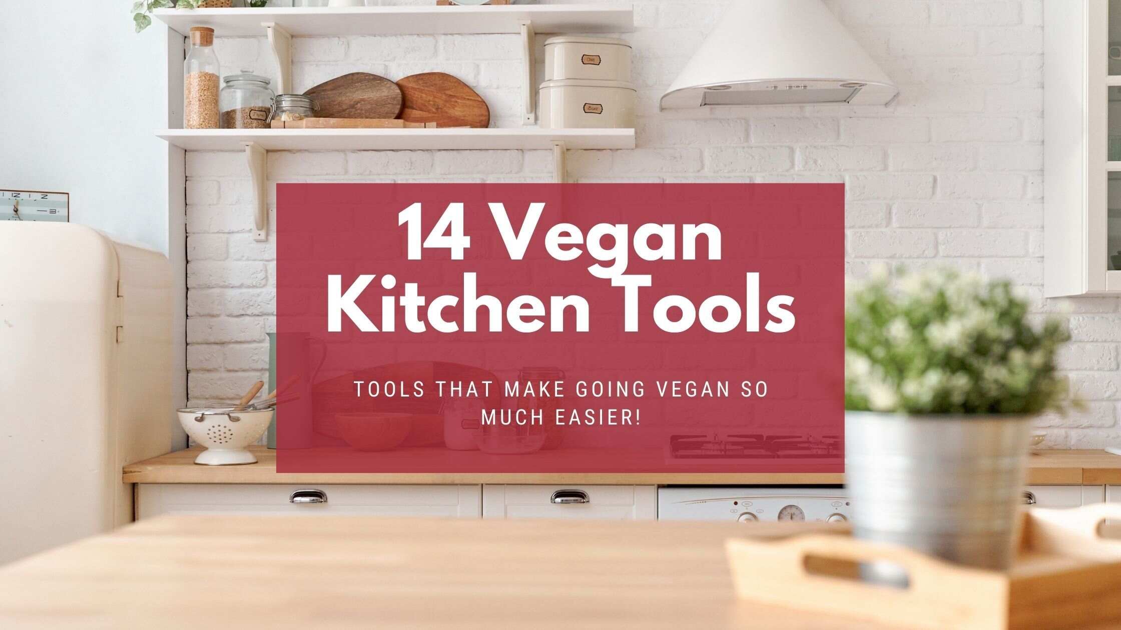essential vegan kitchen tools