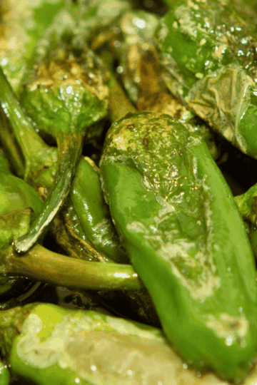 Padrón Peppers recipe