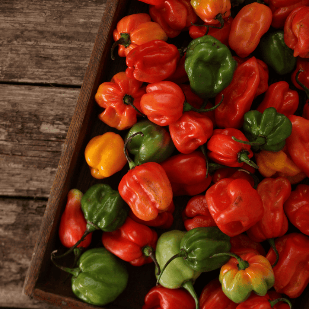 fresh chili - Chili Flakes Substitutes 