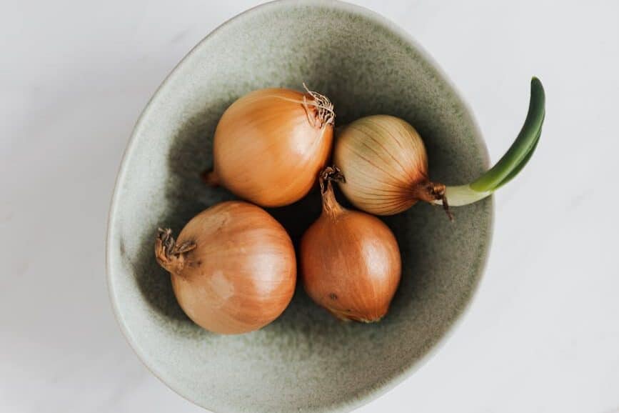 bowl with fresh onions on marble table