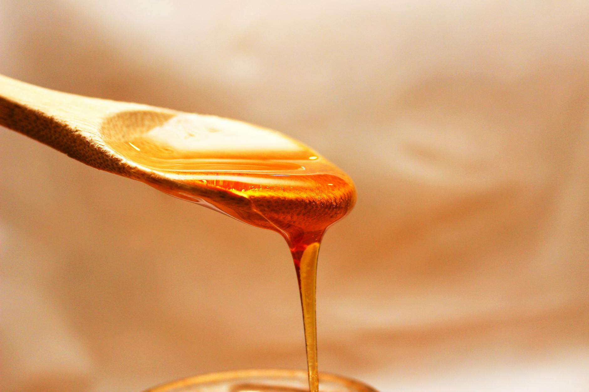close up photography of honey