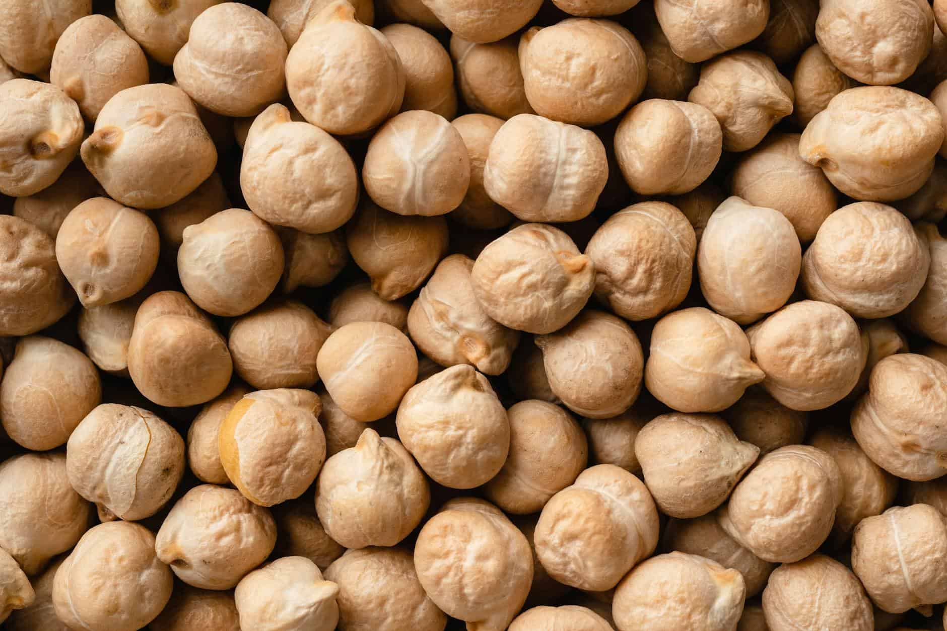 close up shot of chickpeas