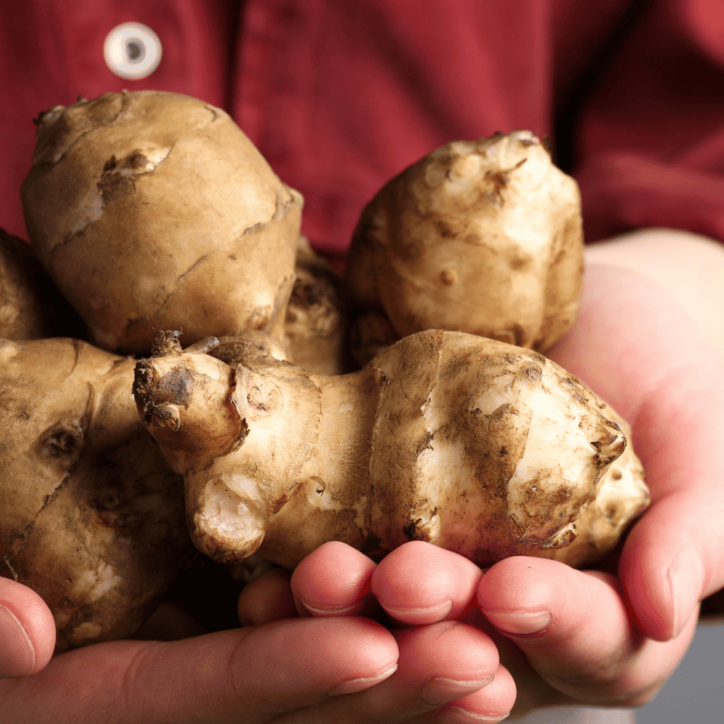 Jerusalem Artichoke Recipes