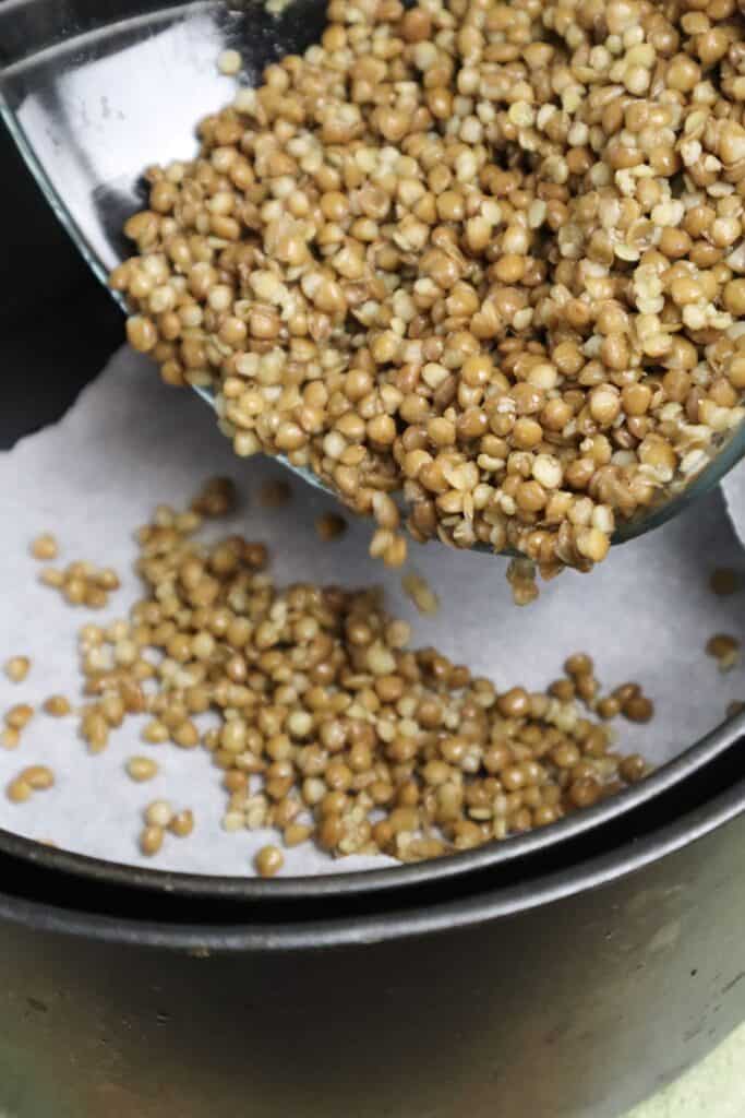 lentils being poured in the airfryer