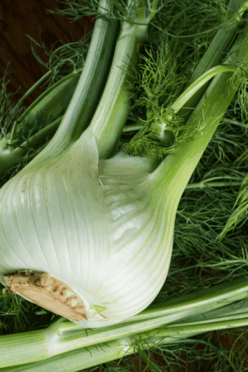 how to substitute fennel